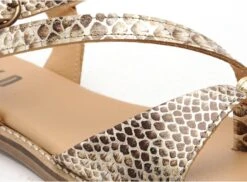 Minka Nu Pieds Plats Femme Agathe Multicolore -REN Chaussures Magasin 2716401 6