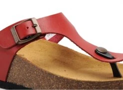 Plakton Mules Et Sabots Plats Femme Cp Bolero Rouge 11 Plakton Mules Et Sabots Plats Femme Cp Bolero Rouge -REN Chaussures Magasin 2734502 6