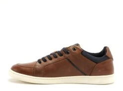 Redskins Basses Homme Florissant Marron -REN Chaussures Magasin 2770501 3