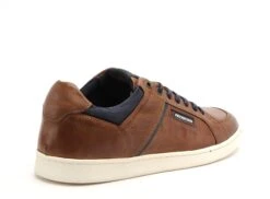 Redskins Basses Homme Florissant Marron -REN Chaussures Magasin 2770501 5