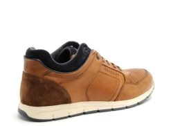 Redskins Basses Homme Sureto Marron -REN Chaussures Magasin 2770601 5