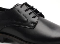 Orland Basses Homme 23274 Noir -REN Chaussures Magasin 2835701 6