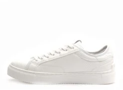 Pepe Jeans Basses Femme Adams Snaky Pls31539 Blanc 8 Pepe Jeans Basses Femme Adams Snaky Pls31539 Blanc -REN Chaussures Magasin 2964201 3