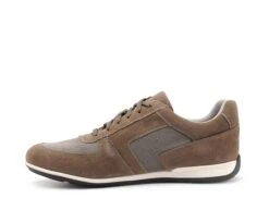 Geox Basses Homme U35dza Kaki -REN Chaussures Magasin 2969601 3