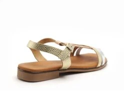 Eva Frutos Nu Pieds Plats Femme 3082 Multicolore -REN Chaussures Magasin 2977301 5