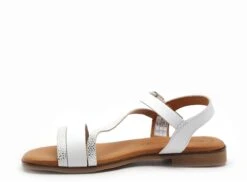 Eva Frutos Nu Pieds Plats Femme 3015 Blanc -REN Chaussures Magasin 2977402 3
