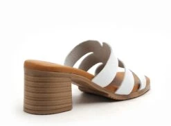 Eva Frutos Mules Et Sabots Talons Femme 3423 Blanc 10 Eva Frutos Mules Et Sabots Talons Femme 3423 Blanc -REN Chaussures Magasin 2978001 5