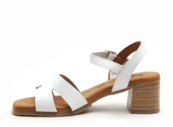 Eva Frutos Nu Pieds Talons Femme 3402 Blanc -REN Chaussures Magasin 2978201 3