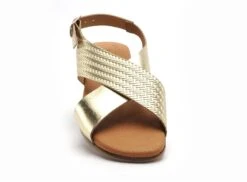 Eva Frutos Nu Pieds Plats Femme 3010 Or -REN Chaussures Magasin 2978601 4