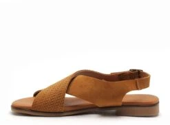 Eva Frutos Nu Pieds Plats Femme 3010 Marron -REN Chaussures Magasin 2978602 3