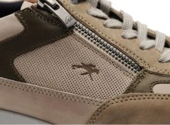 Fluchos Basses Homme F1288 Beige -REN Chaussures Magasin 2994501 6