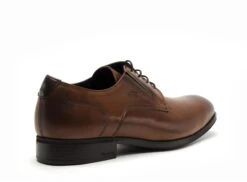 Fluchos Basses Homme F1887 Marron -REN Chaussures Magasin 2994901 5