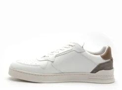 Redskins Basses Homme Toscan Blanc -REN Chaussures Magasin 3035401 3