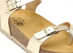 Plakton Nu Pieds Plats Femme Cp Zomba 341016 Or -REN Chaussures Magasin 3052701 6