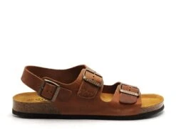 Plakton Nu Pieds Homme Baku 175113 Marron
