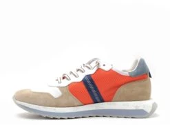 Cetti Basses Homme C1311 Blanc -REN Chaussures Magasin 3062301 3