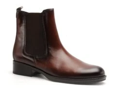 Gabor Boots Bottine Plates Femme 91 600 24 Marron -REN Chaussures Magasin 9838001 2