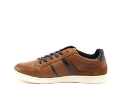 Redskins Basses Homme Falko Marron -REN Chaussures Magasin 9896801 3