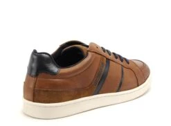 Redskins Basses Homme Falko Marron -REN Chaussures Magasin 9896801 5