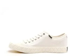 Palladium Basses Homme Palla Ace Canvas Star Blanc 8 Palladium Basses Homme Palla Ace Canvas Star Blanc -REN Chaussures Magasin 9908901 3