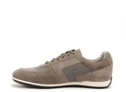 Geox Basses Homme U35dza U Ionio Gris 8 Geox Basses Homme U35dza U Ionio Gris -REN Chaussures Magasin 9920901 3