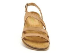 El Naturalista Nu Pieds Plats Femme Panglao N5811 Beige -REN Chaussures Magasin 9944302 4