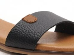 Eva Frutos Nu Pieds Plats Femme 3052 Noir -REN Chaussures Magasin 9948804 6